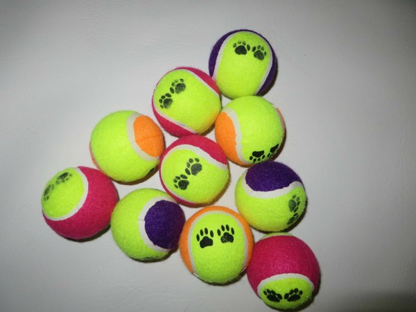 fwf Hundespielzeug Tennisball Hundeball in verschiedenen Farben