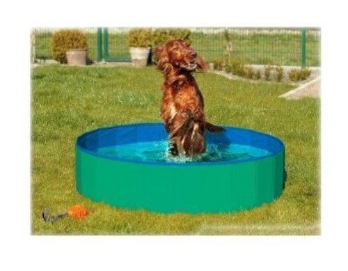 Hundepool, Planschbecken, Doggy Pool für warme Sommertage