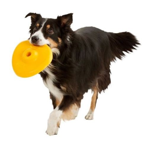 Karlie Frisbee Soft Spielzeug für Hunde